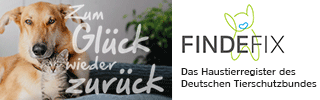 Banner Findefix